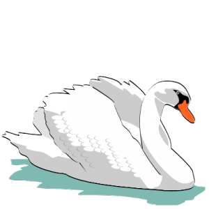 Swans